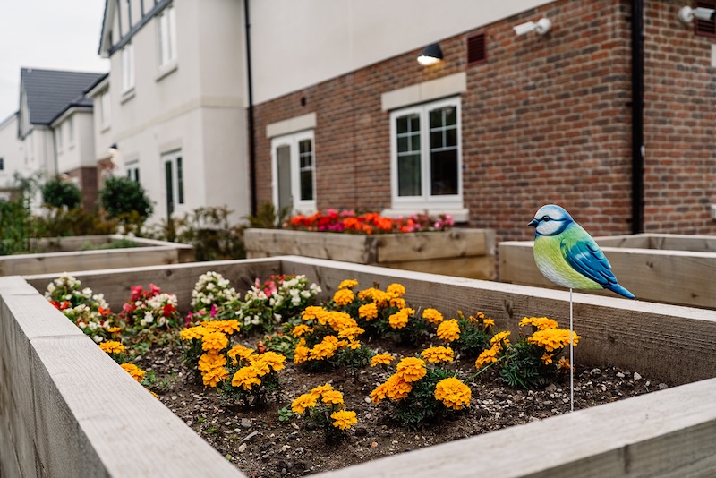 close up of raised planters with yellow flowers and a painted metal bird
