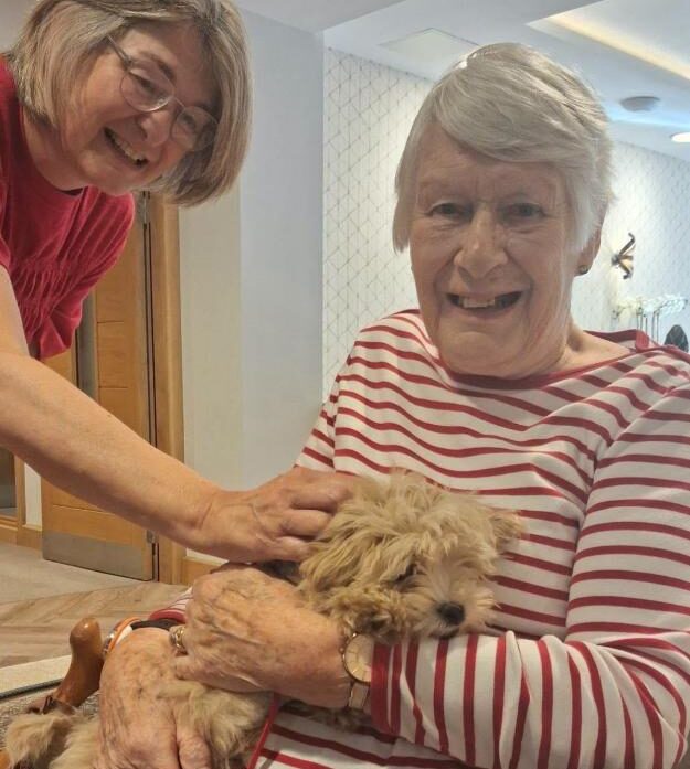 older lady holding a dog
